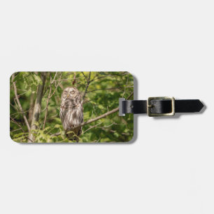 Sleepy Barred Owl Luggage Tag