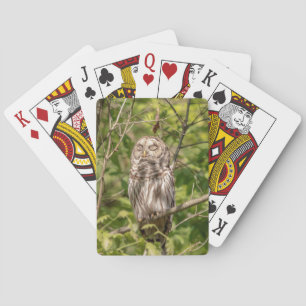 Sleepy Barred Owl Playing Cards