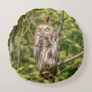 Sleepy Barred Owl Round Pillow