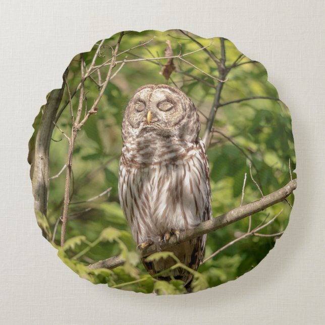 Sleepy Barred Owl Round Pillow (Front)