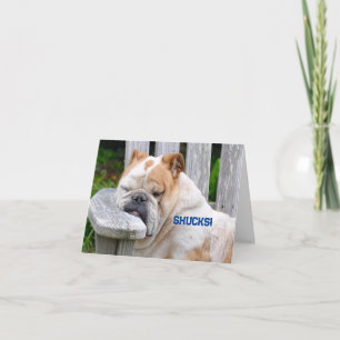 SLEEPY BULLDOG OBTENIR UNE CARTE DE BIEN
