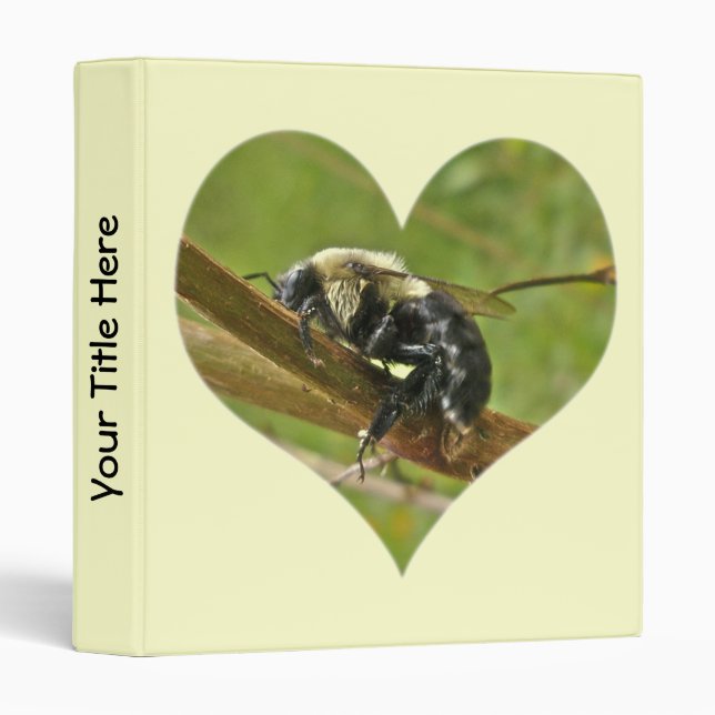 Sleepy Bumblebee Binder (Front/Spine)