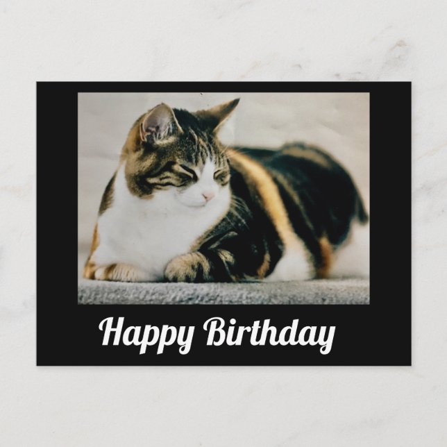 Sleepy Calico Cat Cute Happy Birthday Postcard (Front)