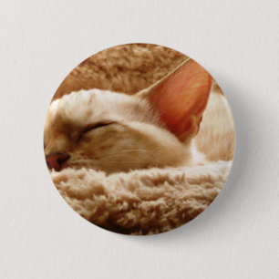 Sleepy Cat 2 Inch Round Button