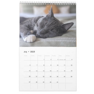 Sleepy Cat Calendar