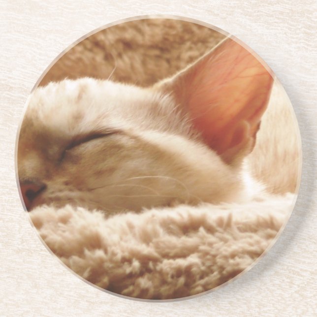Sleepy Cat Coaster (Front)