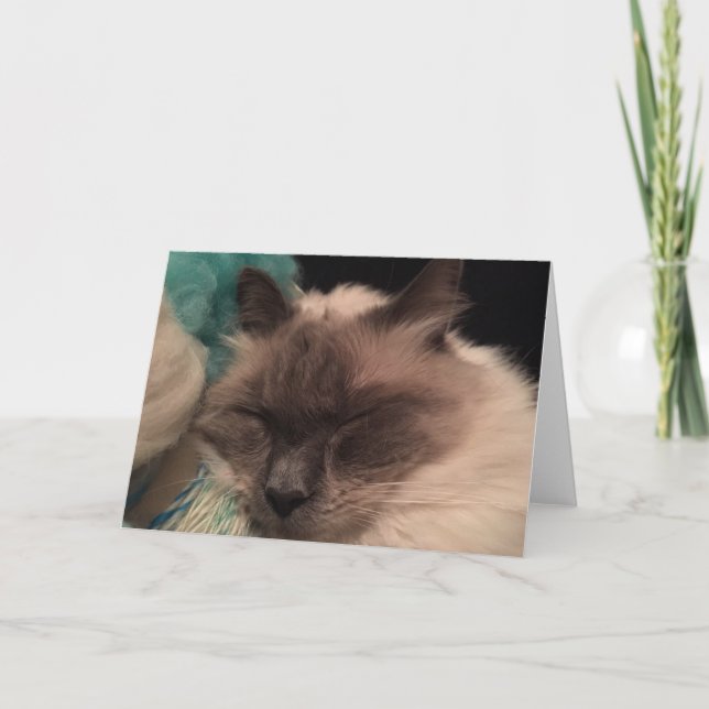 Sleepy Cat Greeting Card (landscape) (Front)
