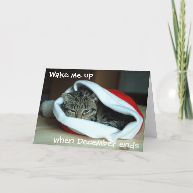 Sleepy Cat in Santa Hat Holiday  (Front)