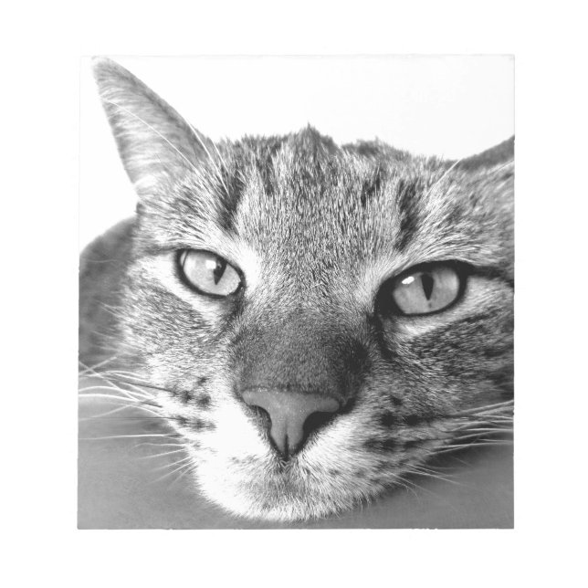 Sleepy Cat Notepad (Front)
