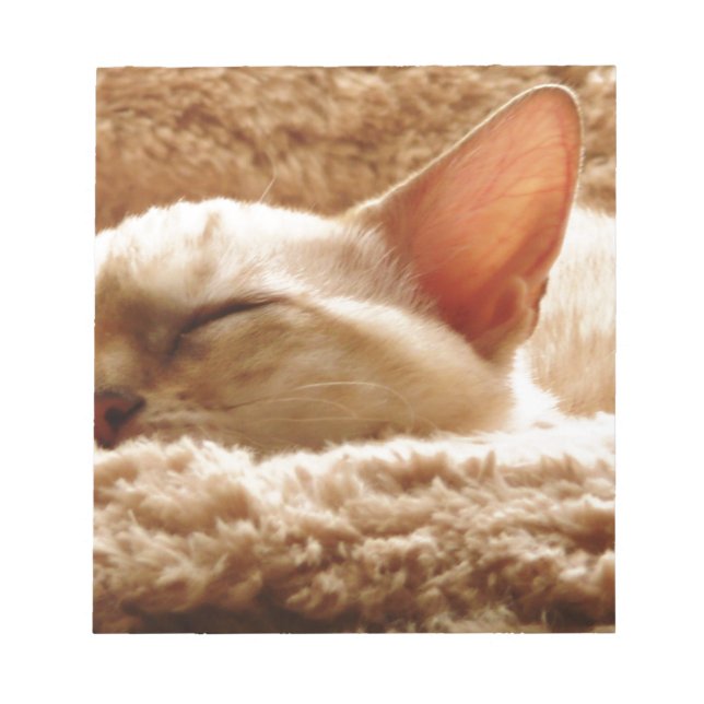 Sleepy Cat Notepad (Front)