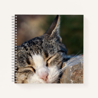 Sleepy Cat Spiral Notebook