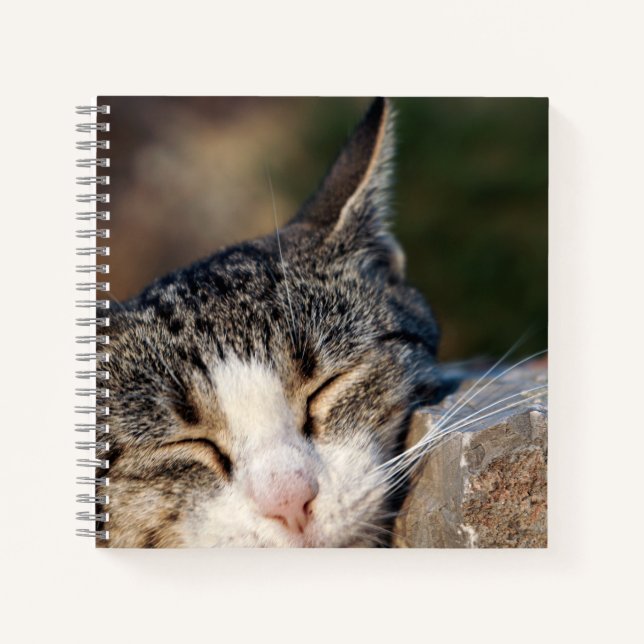 Sleepy Cat Spiral Notebook (Front)