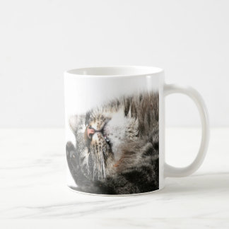 Sleepy cat wants coffee mug