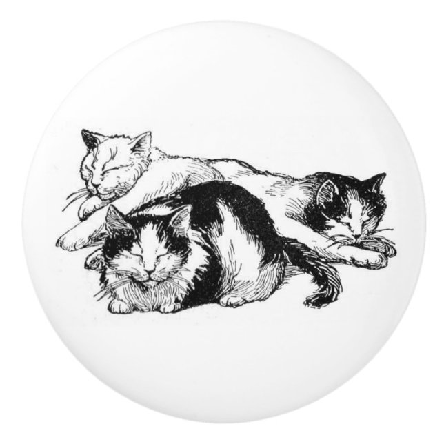 Sleepy Cats | black and white kitties Ceramic Knob (Front)
