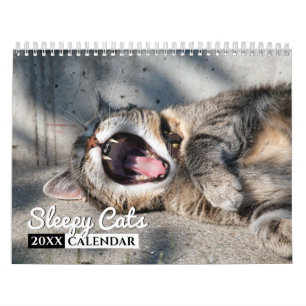 Sleepy Cats Calendrier des Murs Photo