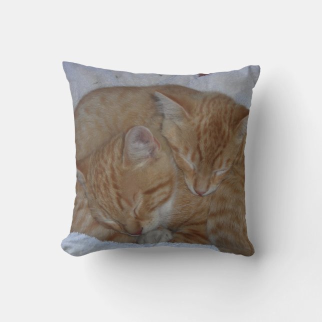 Sleepy Cats Throw Pillow (Front)