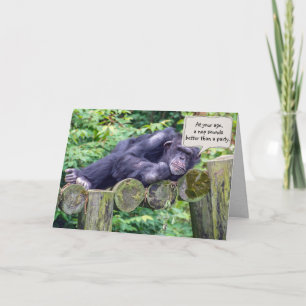 sleepy chimpanzee for humourous birthday card