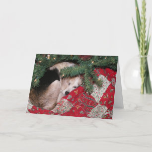 Sleepy Christmas Beagle Holiday Card