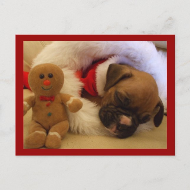 Sleepy Christmas Boxer Puppy postcard (Front)