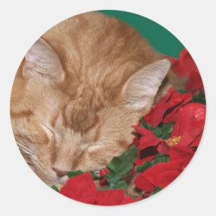 Sleepy Christmas kitty Classic Round Sticker