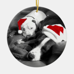 sleepy christmas pitbull puppies adorable santa ceramic ornament