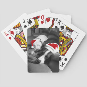 sleepy christmas pitbull puppies adorable santa playing cards