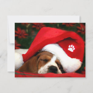 Sleepy Christmas Puppy Holiday Card
