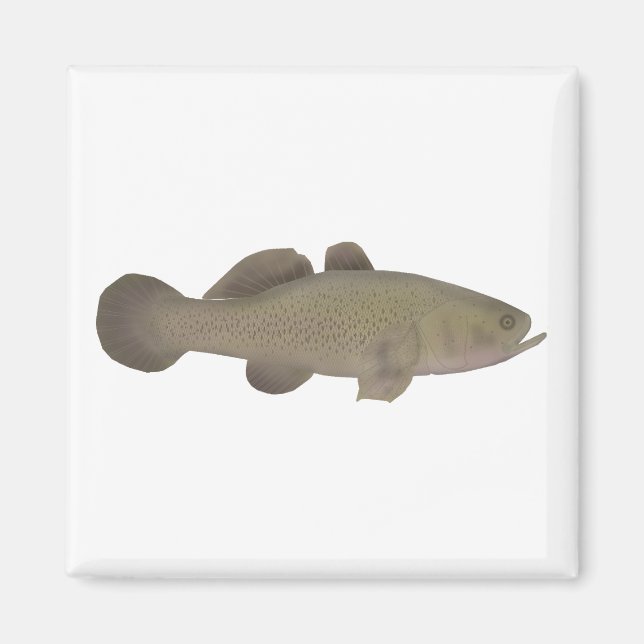 Sleepy Cod Magnet (Front)