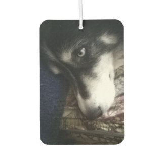 Sleepy Dog Air Freshener
