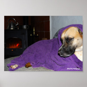 Sleepy Dog by Fireplace Poster