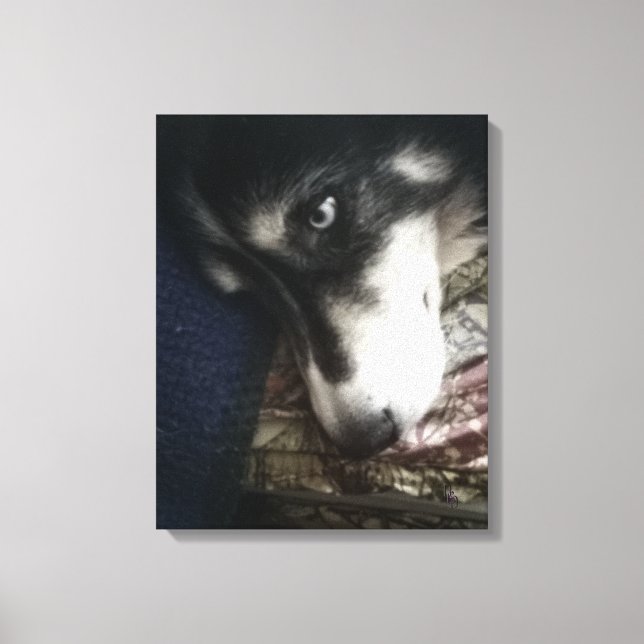Sleepy Dog Canvas Print (Front)
