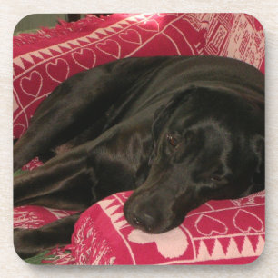 Sleepy Dog Coasters - Set of 6