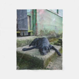 Sleepy Dog Fleece Blanket