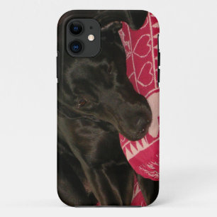 Sleepy Dog iPhone 5 Case