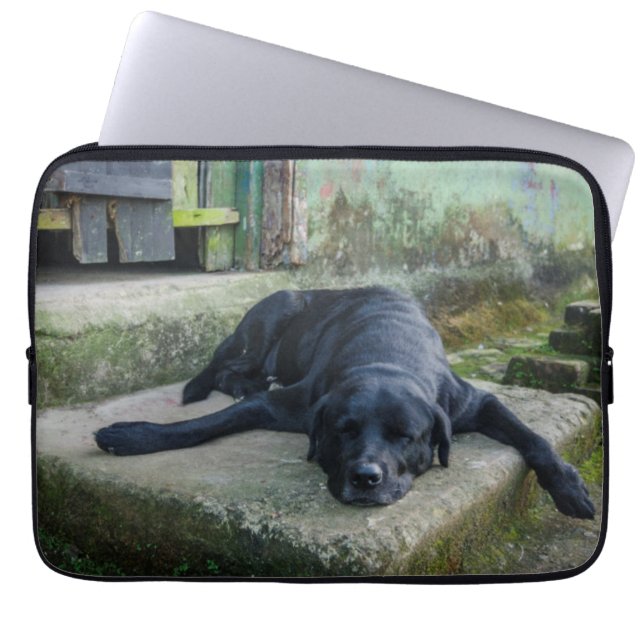 Sleepy Dog Laptop Sleeve (Front)