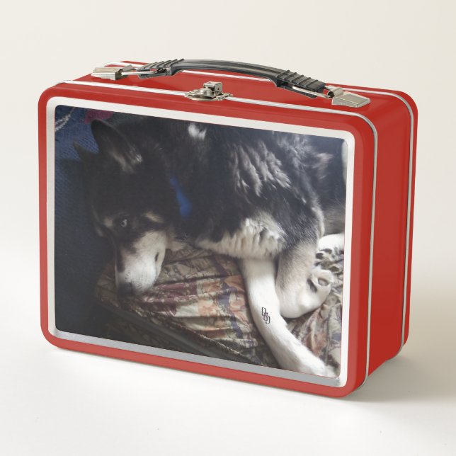 Sleepy Dog Metal Lunch Box (Front)