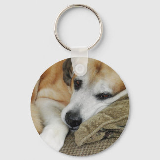 Sleepy Dog Napping Mutt Mixed Breed Pet Photo Keychain