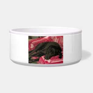 Sleepy Dog Pet Bowl
