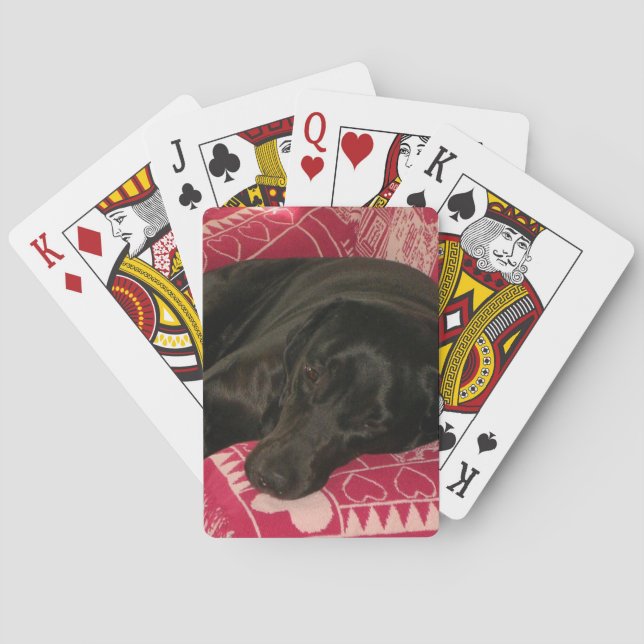 Sleepy Dog Playing Cards (Back)