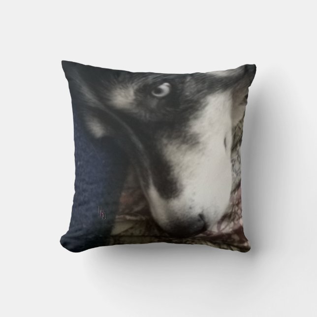 Sleepy Dog Throw Pillow (Front)