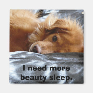 Sleepy Eyed Dog Magnet