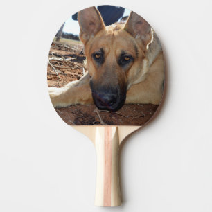 Sleepy Eyes: Young Alsatian Shepherd Dog, Ping Pong Paddle