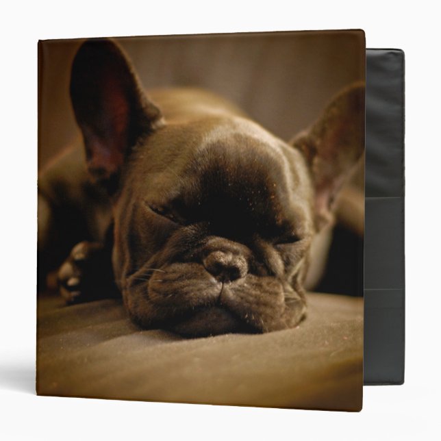Sleepy French Bulldog Binder (Front/Inside)