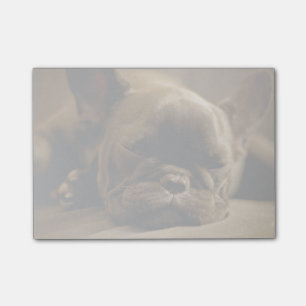 Sleepy French Bulldog Post-it Notes