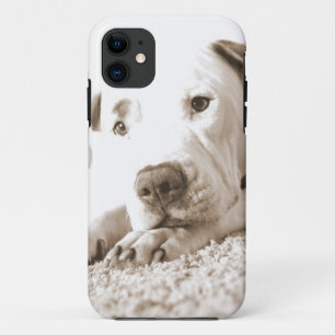 sleepy friendly white pitbull hate deed not breed iPhone 11 case