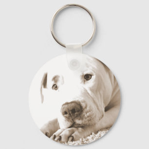 sleepy friendly white pitbull hate deed not breed keychain