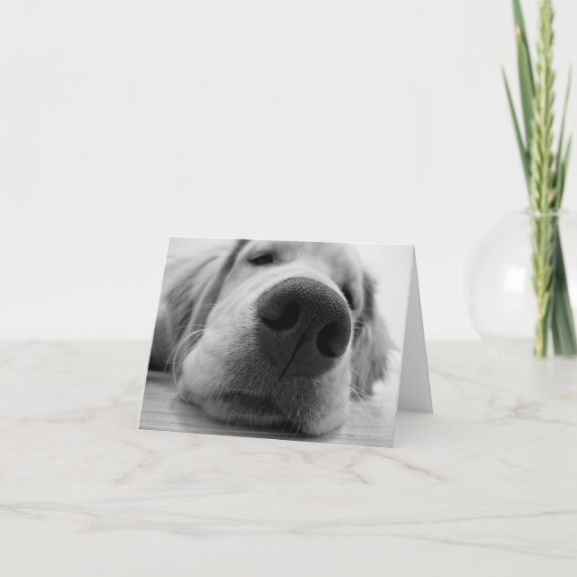 Sleepy Golden Card (Front)