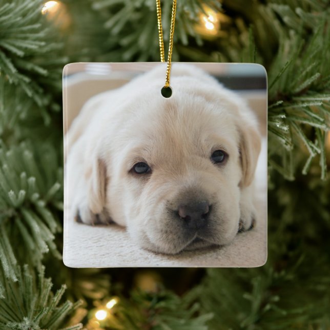 Sleepy Golden Labrador Puppy Ceramic Ornament (Tree)