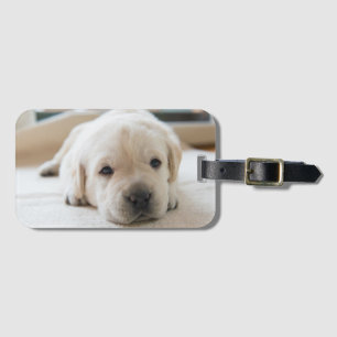 Sleepy Golden Labrador Puppy Luggage Tag