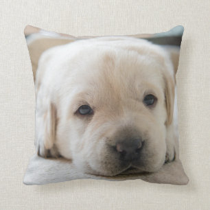 Sleepy Golden Labrador Puppy Throw Pillow
